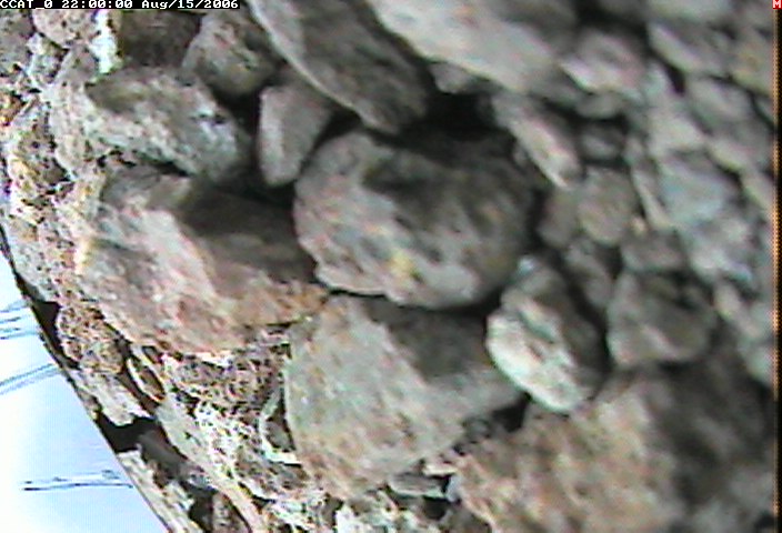 ccat0_20060815220000.jpg