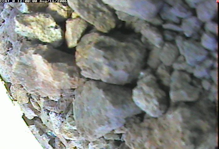 ccat0_20060816120000.jpg