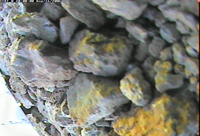 ccat0_20060816200000.jpg
