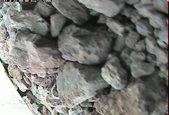 ccat0_20060816220000.jpg