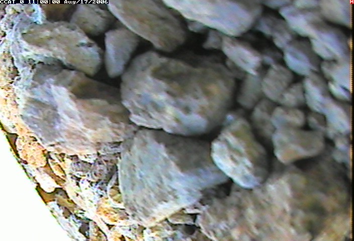ccat0_20060817110000.jpg