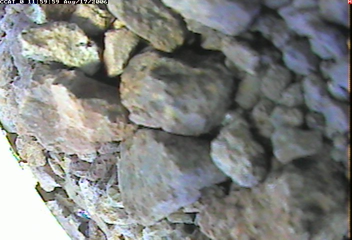 ccat0_20060817115959.jpg
