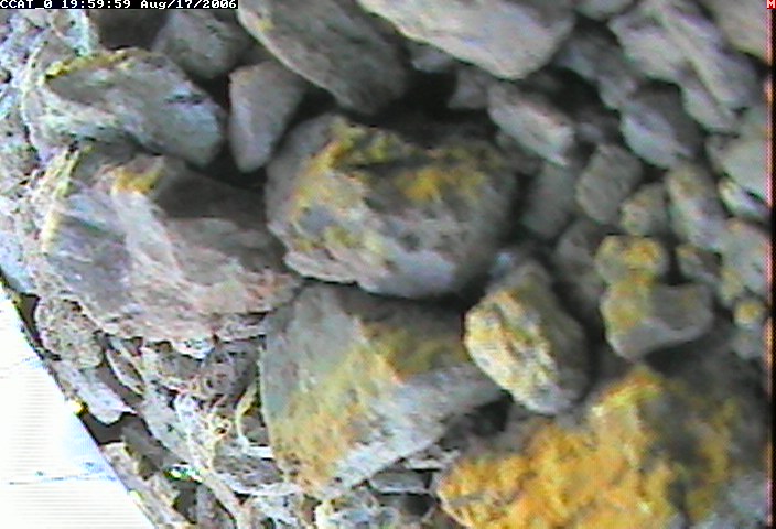 ccat0_20060817195959.jpg