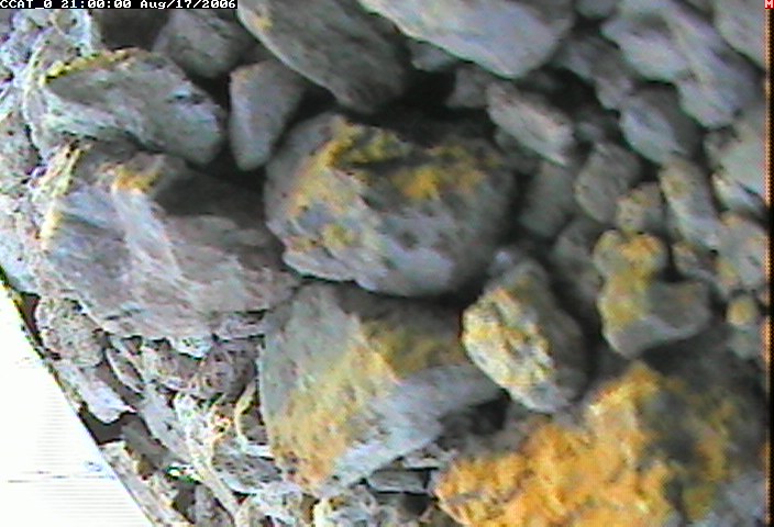 ccat0_20060817210000.jpg