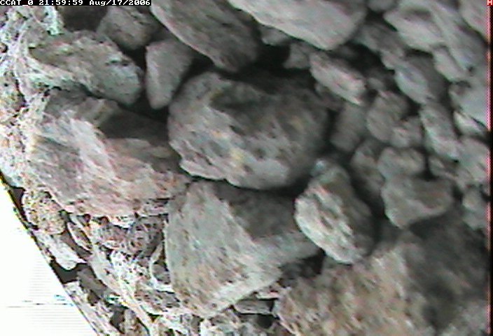 ccat0_20060817215959.jpg