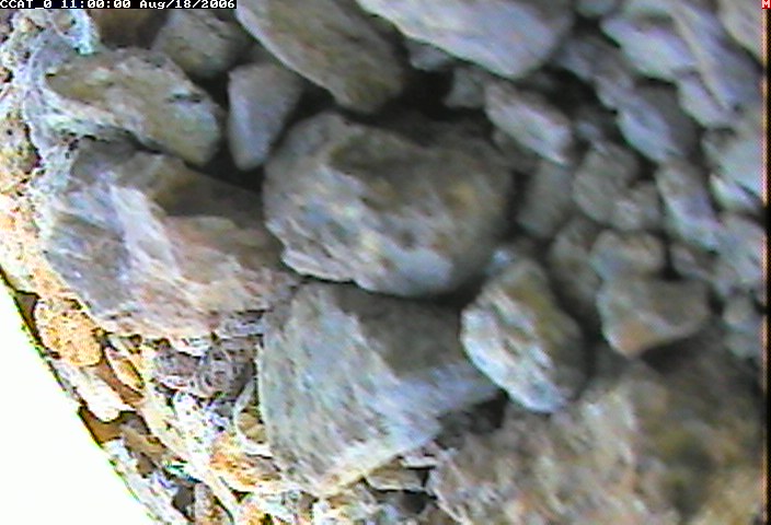 ccat0_20060818110000.jpg