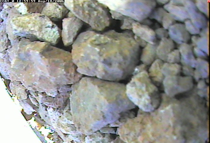 ccat0_20060818125959.jpg