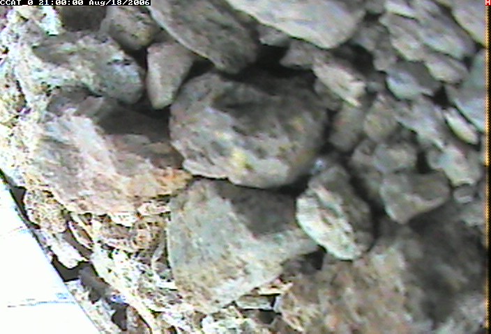 ccat0_20060818210000.jpg