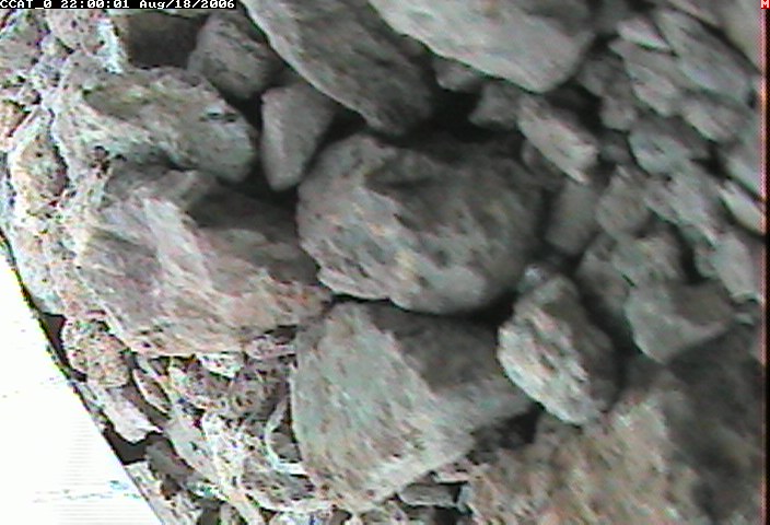 ccat0_20060818220001.jpg