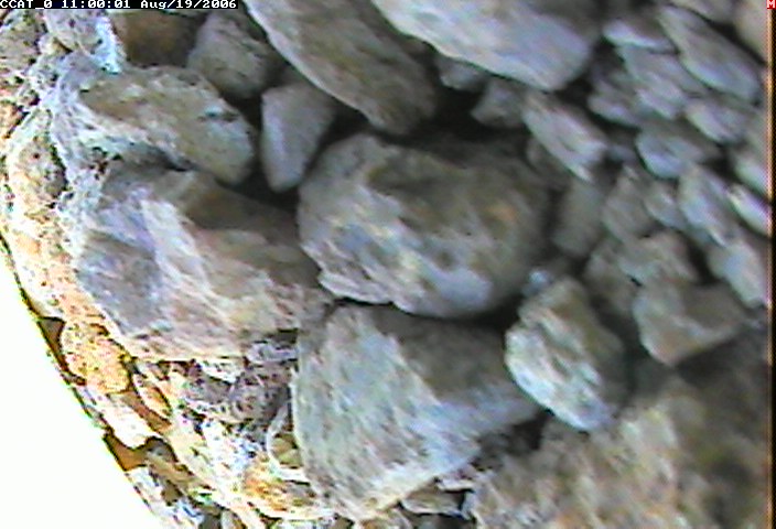 ccat0_20060819110001.jpg