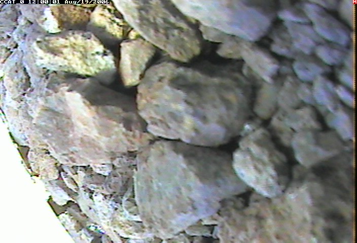 ccat0_20060819120001.jpg