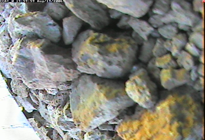 ccat0_20060819195959.jpg