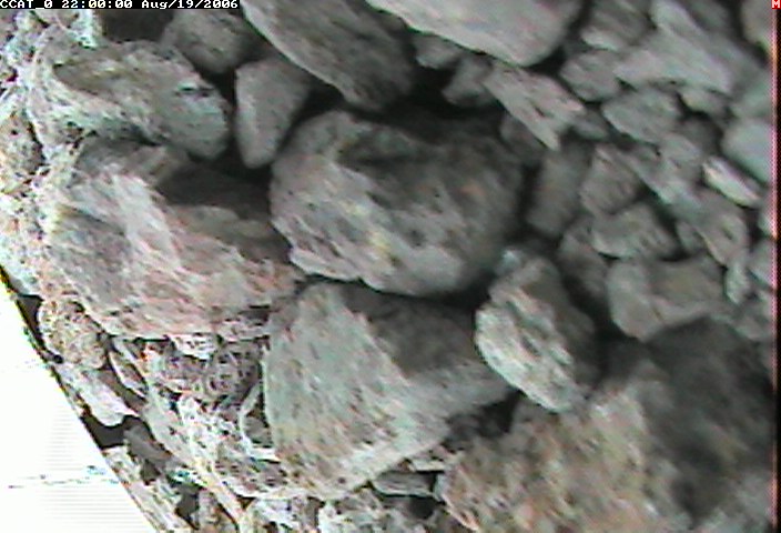 ccat0_20060819220000.jpg