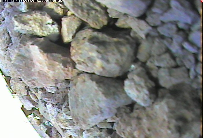 ccat0_20060820115959.jpg