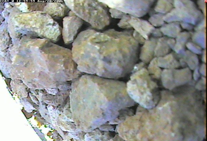 ccat0_20060820125959.jpg