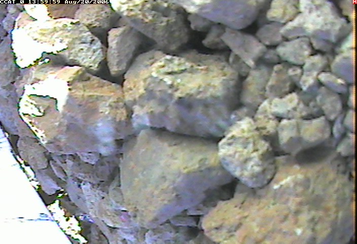ccat0_20060820135959.jpg