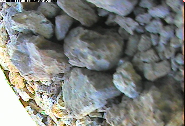 ccat0_20060821110000.jpg