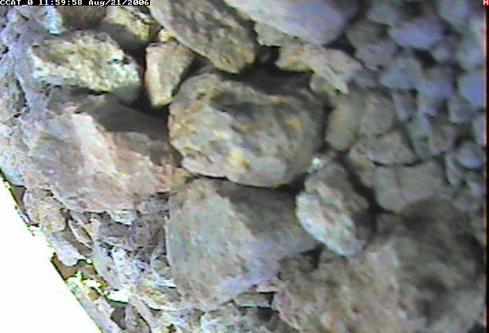 ccat0_20060821115958.jpg