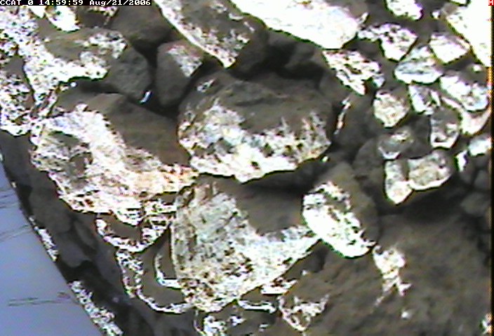 ccat0_20060821145959.jpg