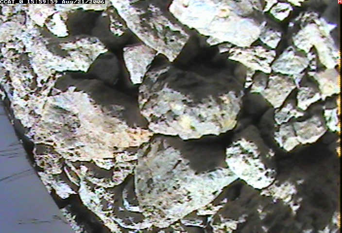 ccat0_20060821155959.jpg