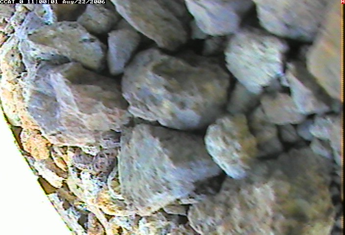 ccat0_20060822110001.jpg