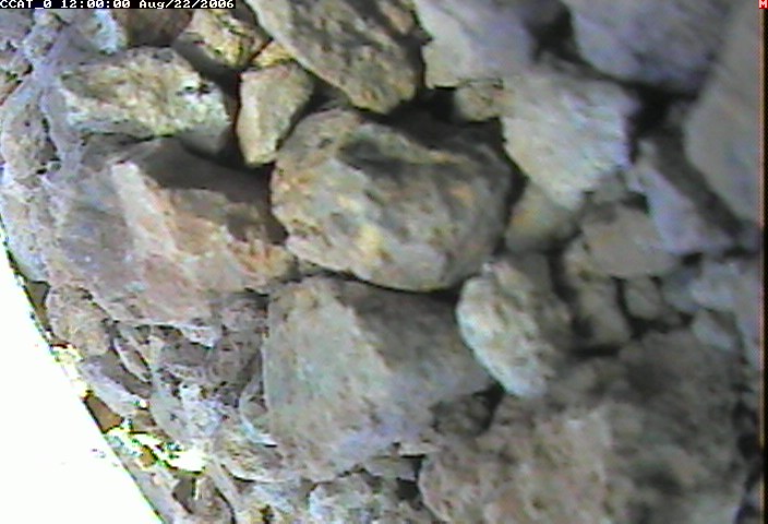 ccat0_20060822120000.jpg