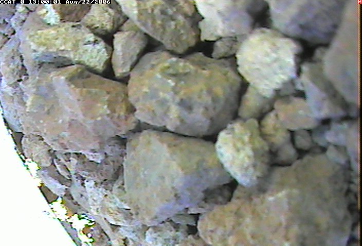ccat0_20060822130001.jpg