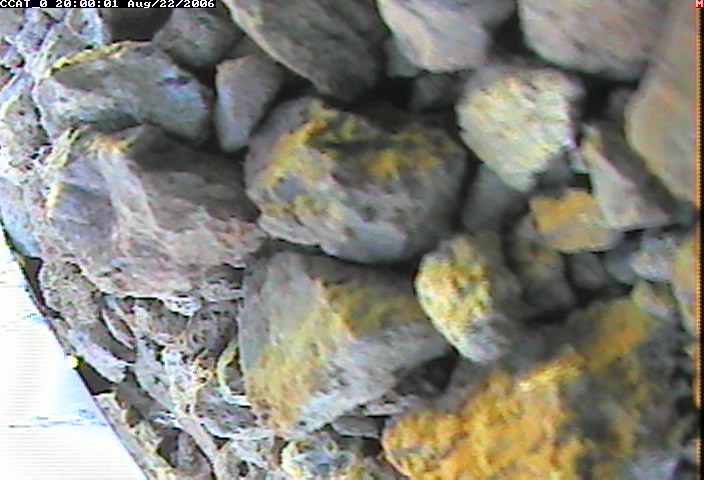 ccat0_20060822200001.jpg