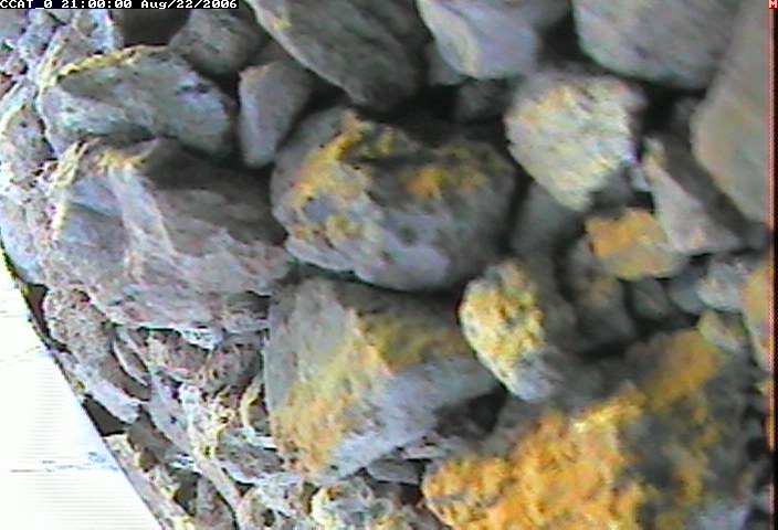 ccat0_20060822210000.jpg