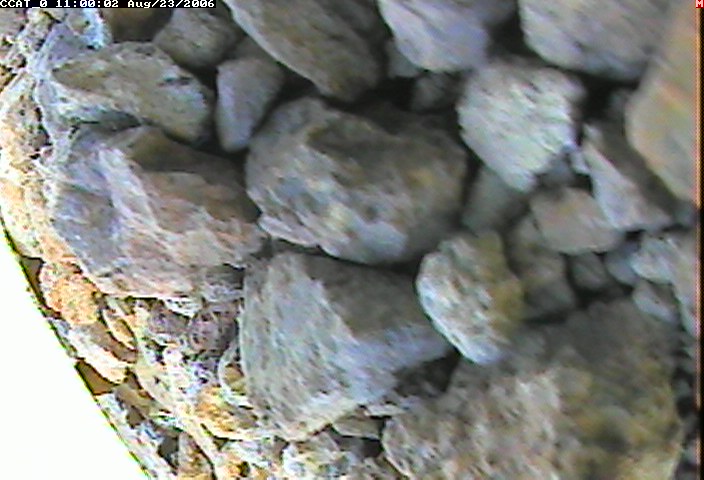 ccat0_20060823110002.jpg