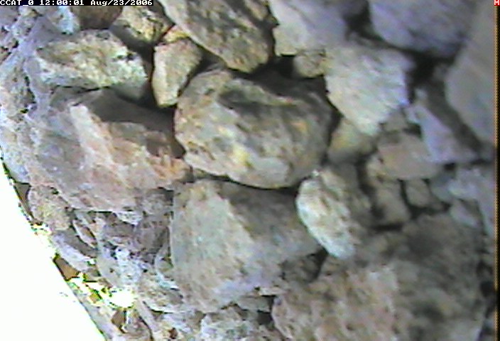 ccat0_20060823120001.jpg