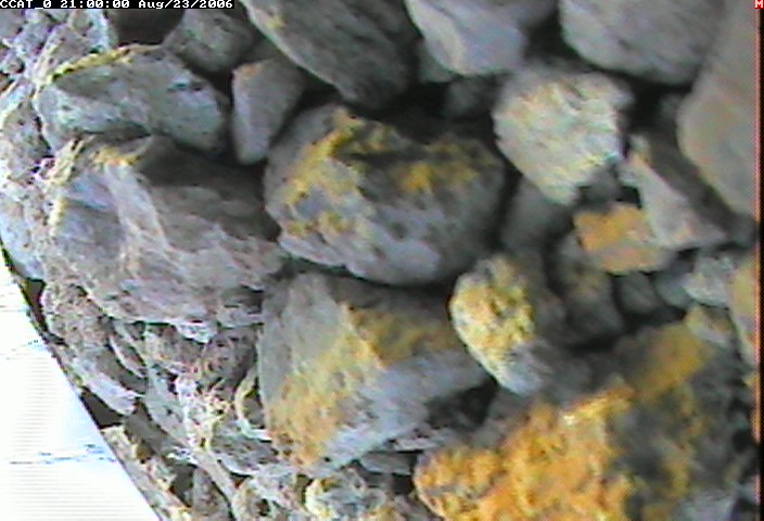 ccat0_20060823210000.jpg