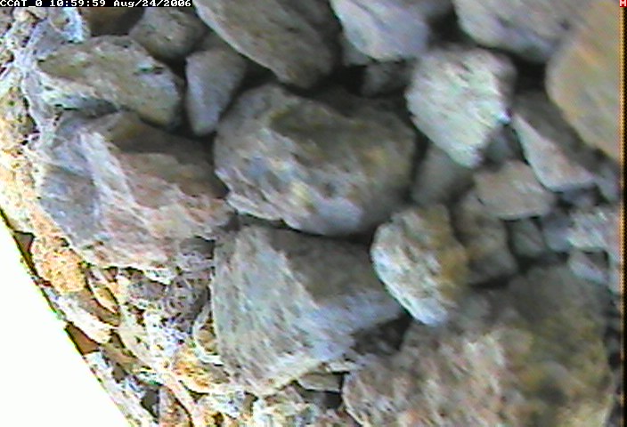 ccat0_20060824105959.jpg