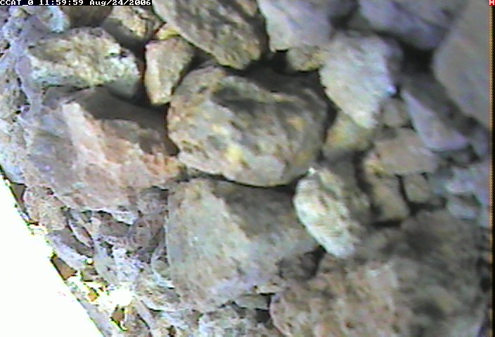 ccat0_20060824115959.jpg
