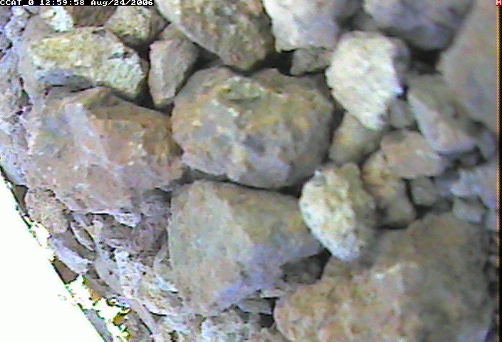 ccat0_20060824125958.jpg