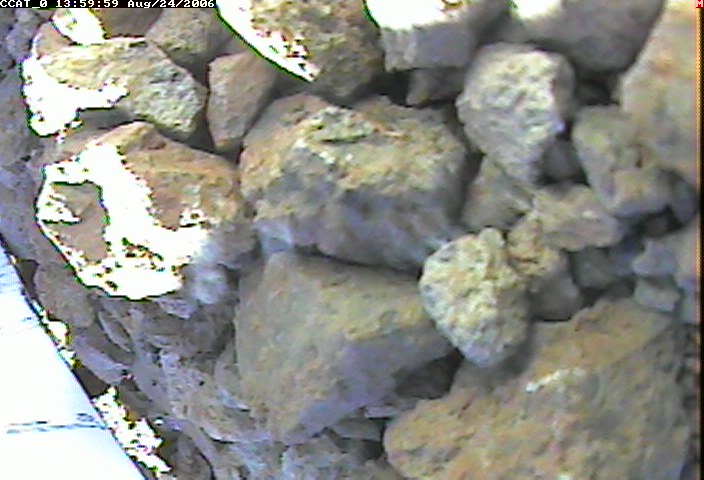 ccat0_20060824135959.jpg