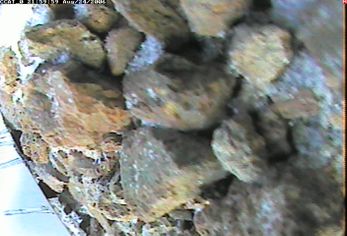 ccat0_20060824215959.jpg