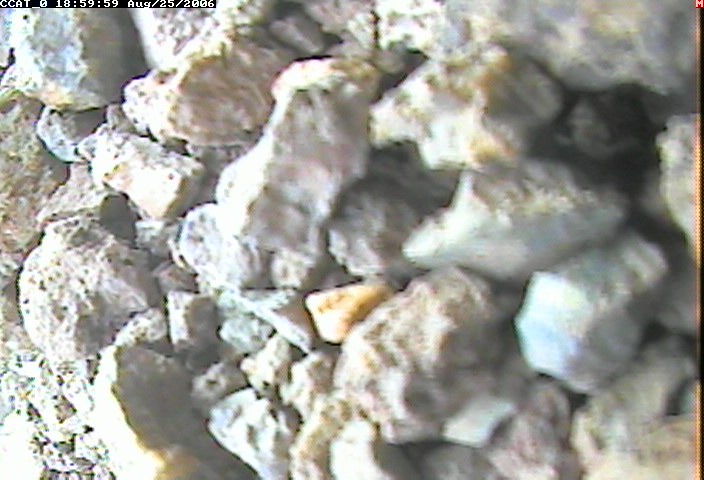 ccat0_20060825185959.jpg