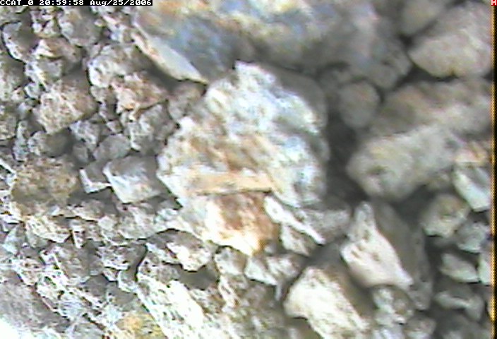 ccat0_20060825205958.jpg