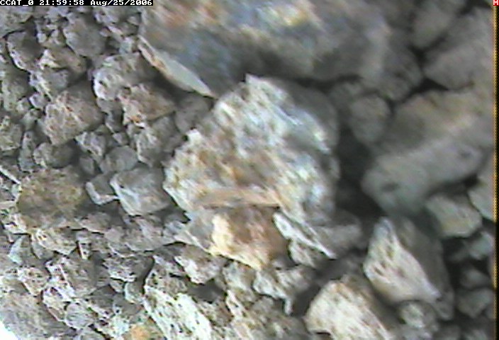 ccat0_20060825215958.jpg