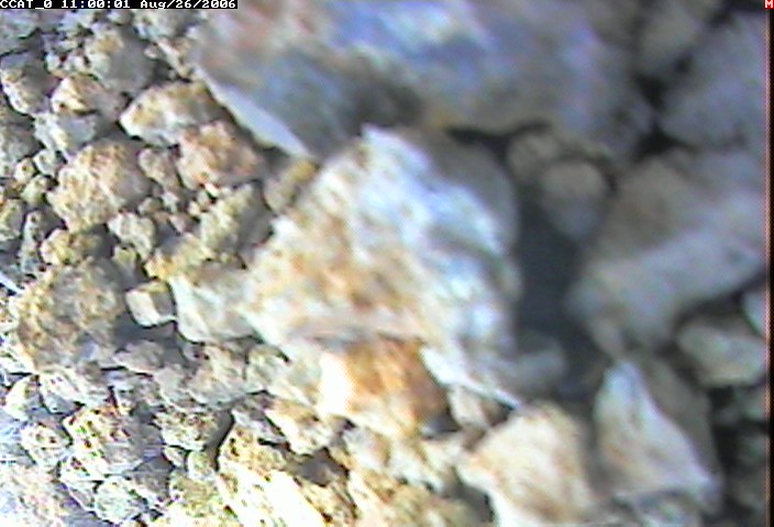 ccat0_20060826110001.jpg