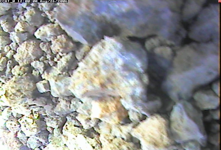ccat0_20060826120000.jpg