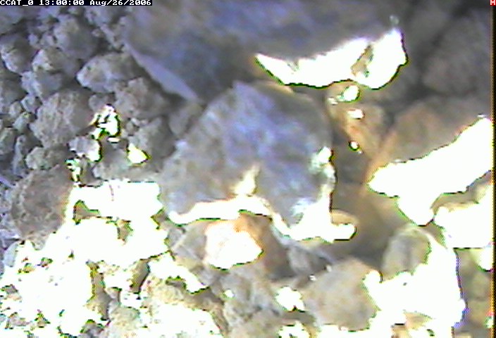 ccat0_20060826130000.jpg