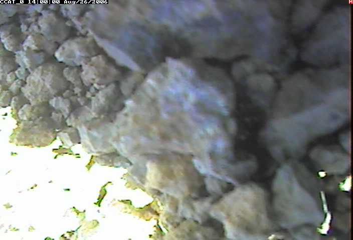 ccat0_20060826140000.jpg