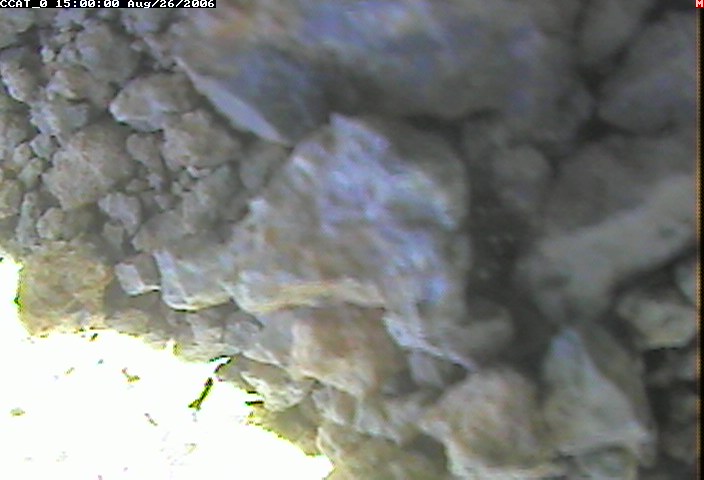 ccat0_20060826150000.jpg