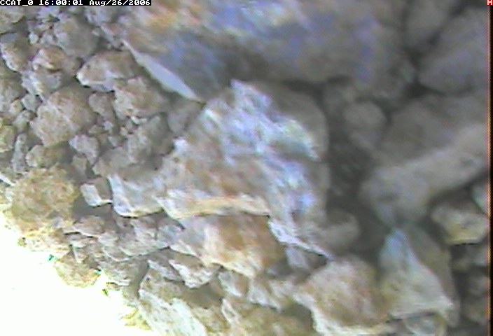 ccat0_20060826160001.jpg