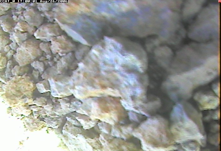 ccat0_20060826170001.jpg
