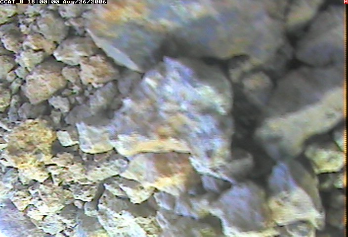 ccat0_20060826180000.jpg