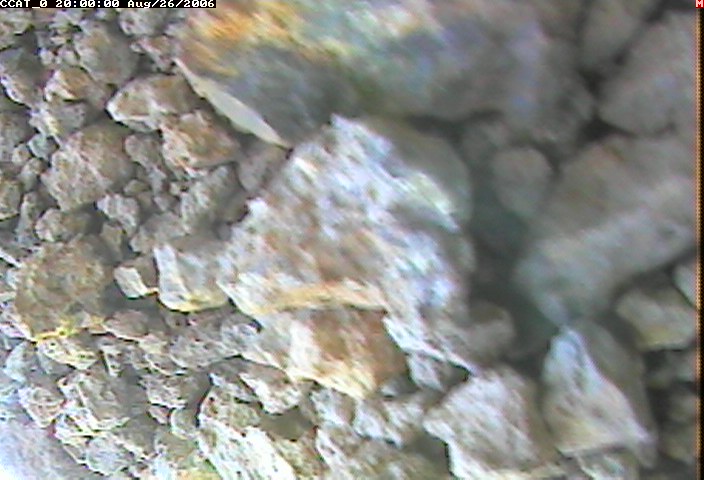 ccat0_20060826200000.jpg