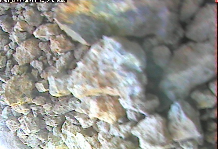 ccat0_20060826210001.jpg